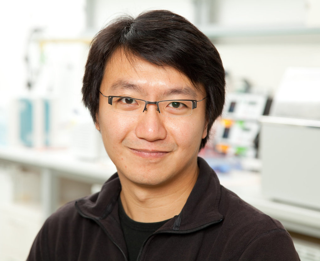 Dr. Frank Chan